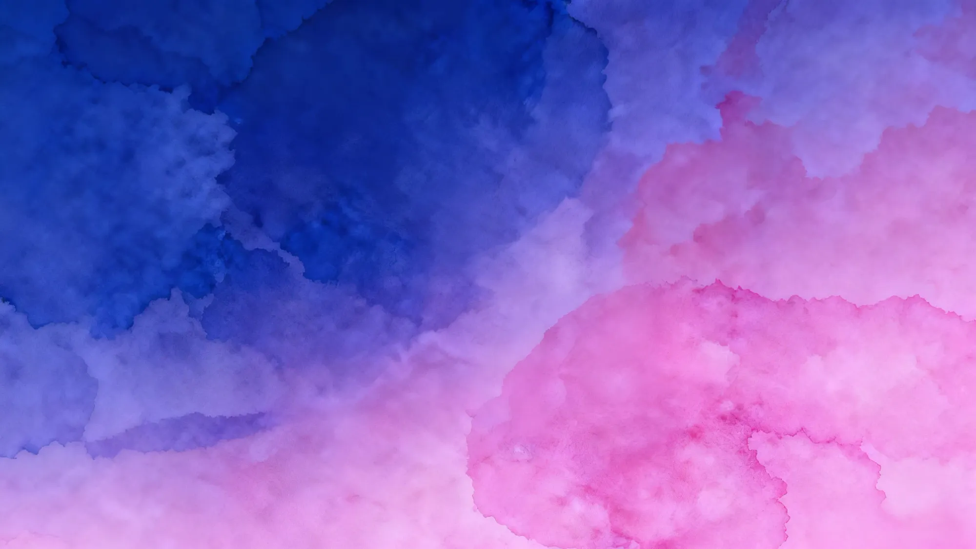 荒嬉·开源考公